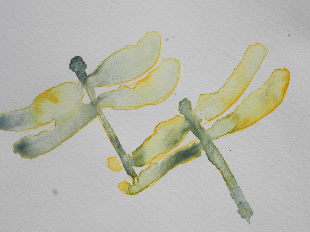 Bilder zum Buch – Die Libellchen