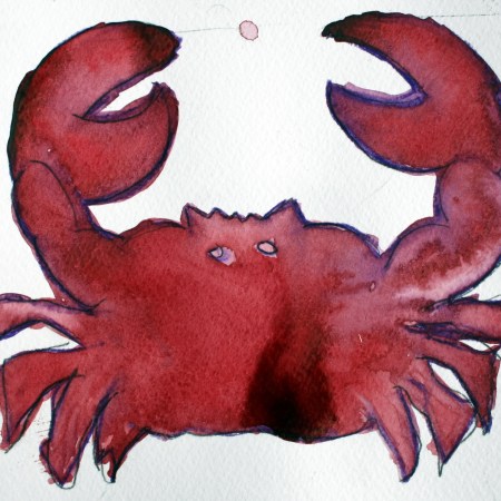 Warum neue Metastasen doof sind, wenn sie auch noch so klein sind