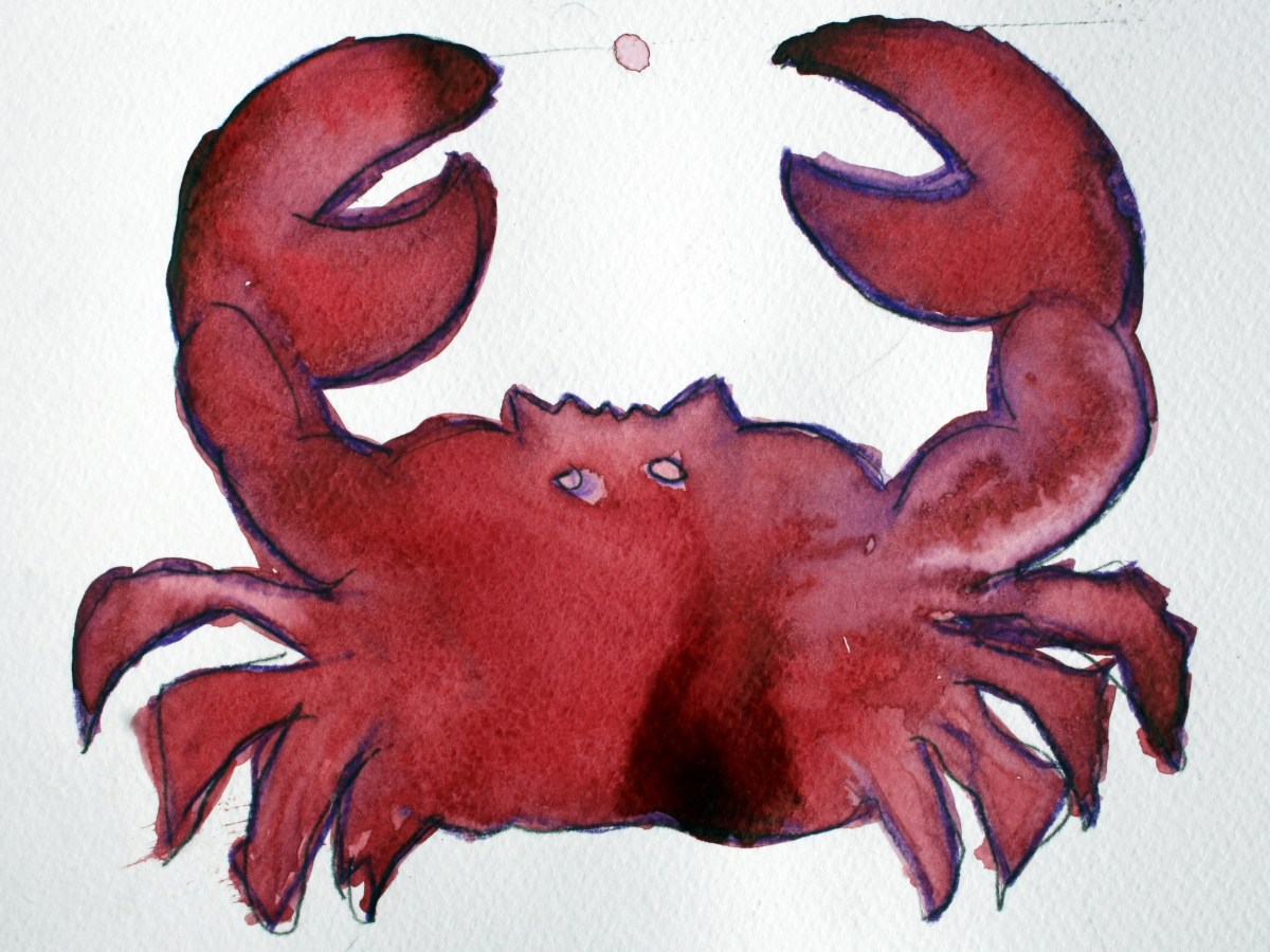 Warum neue Metastasen doof sind, wenn sie auch noch so klein sind