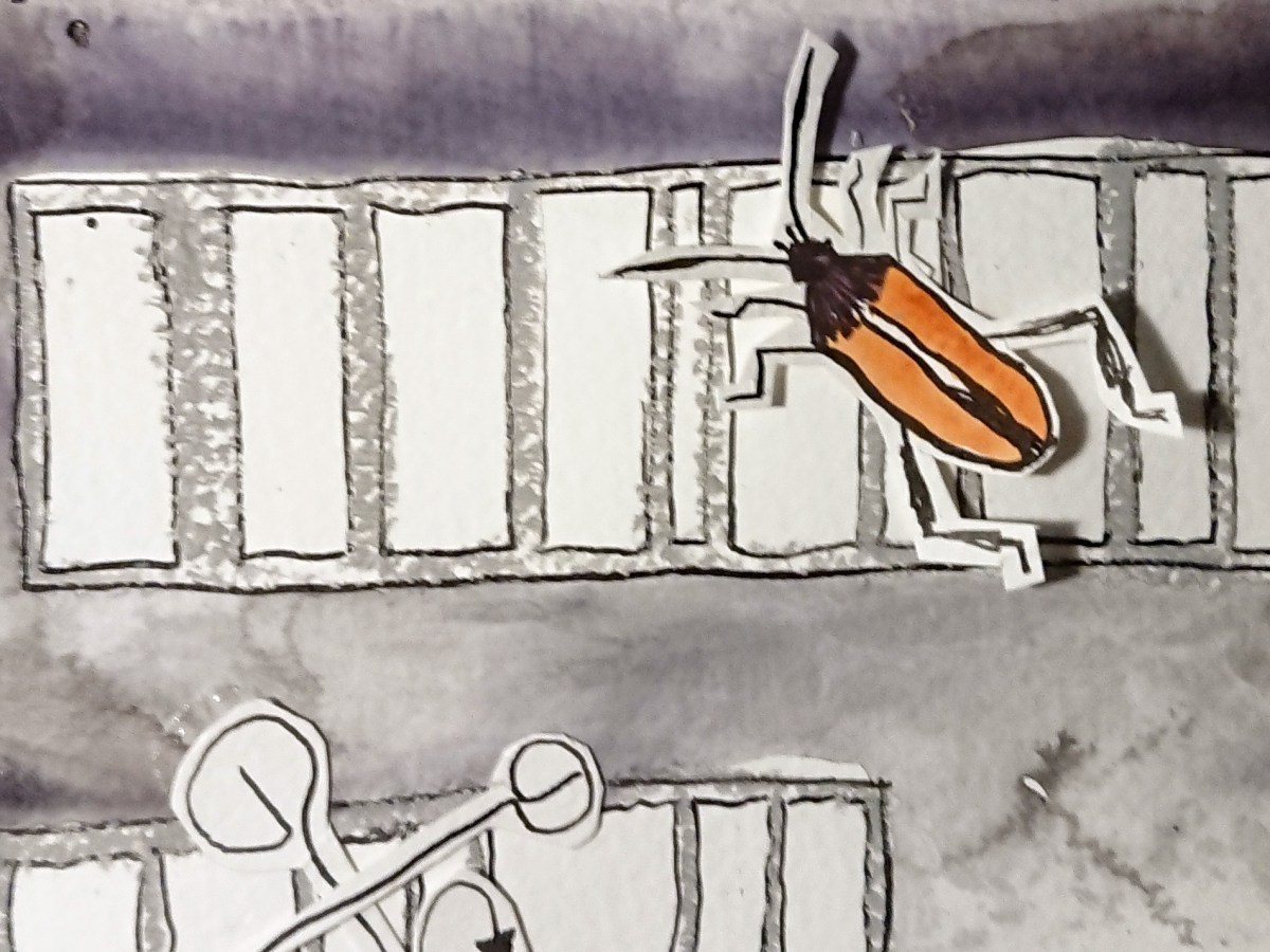 Bilder zum Buch – Das Labyrinth der drei Balken