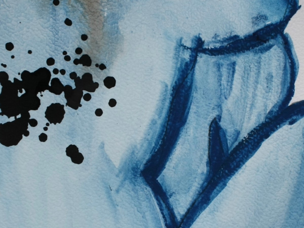 Bilder zum Buch – Die blaue Frau