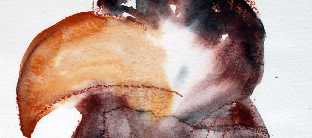 Bilder zum Buch – Der Rabe