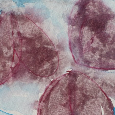 Bilder zum Buch – Das Planschbecken