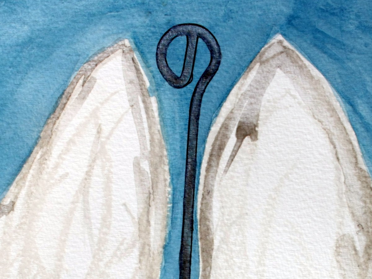 Bilder zum Buch – die weißen Flügel