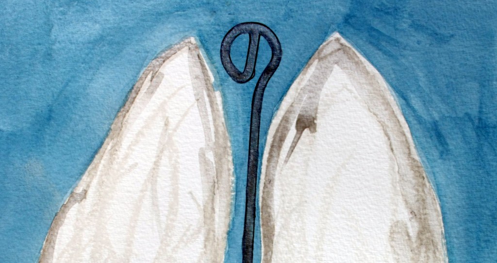 Bilder zum Buch – die weißen Flügel